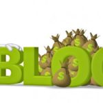 blog income challenge
