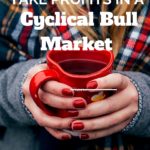 How to Buy & Take Profits in a Cyclical Bull Market